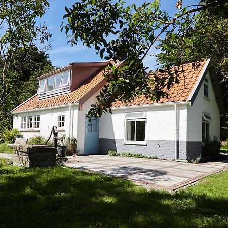 Cottage Duinroos - Dune Rose Остворне Экстерьер фото