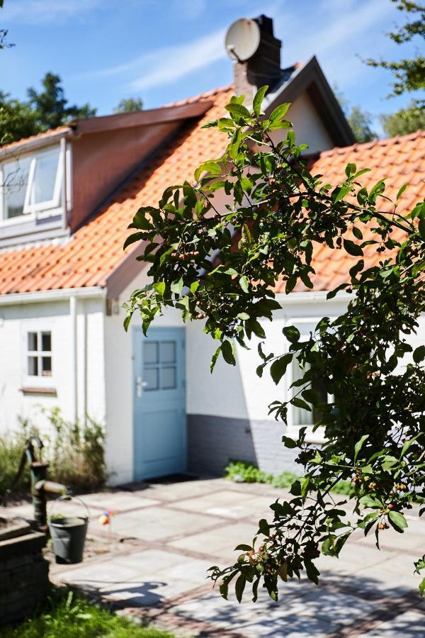 Cottage Duinroos - Dune Rose Остворне Экстерьер фото
